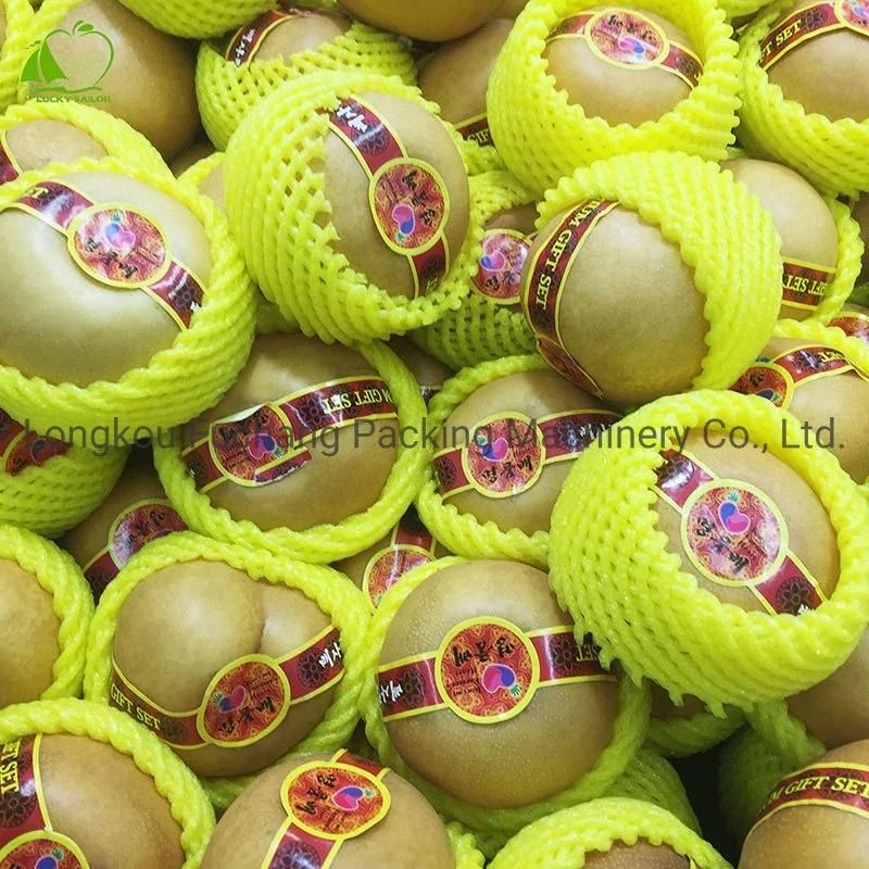 75 Screw Packing Fruit Net Machinery