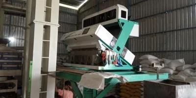Plastic Pellets Color Sorting Machine Price in China Wenyao Manufacturer