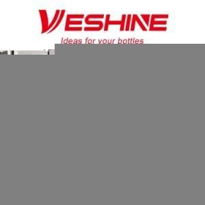 Plastic PE Bottle Blowing Molding Machine