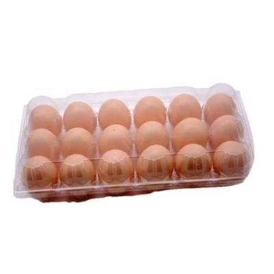 Fully Automatic Plastic Tray Thermoforming Machine Disposable Plastic Cup Thermoforming ...