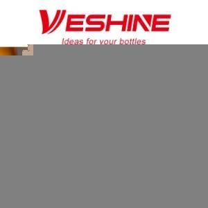 20 Liter Pet Bottle Blowing Machine