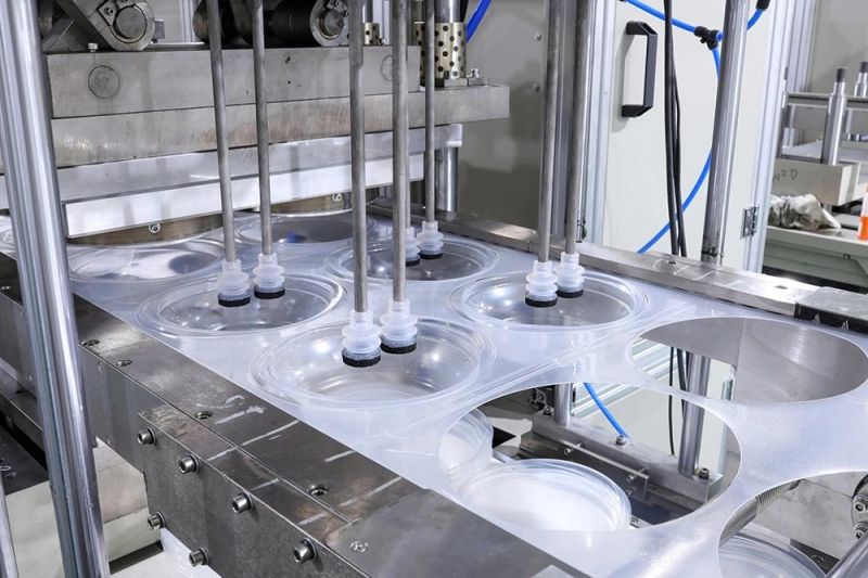 Daily Necessities Food Plastic Clamshell Package Container Making Machine