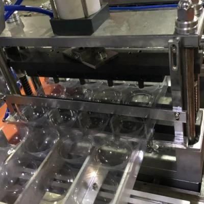 Pet Fruit Tray Forming Machine