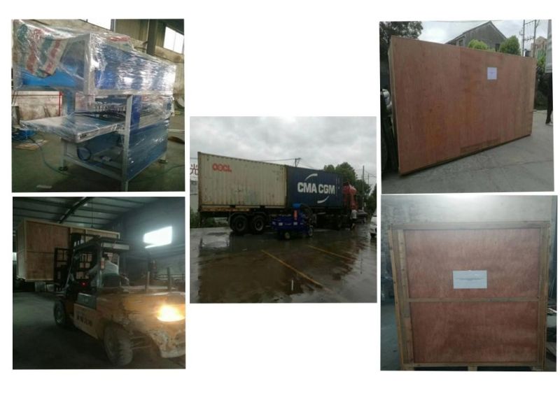 Ce Certificated Four Column Fast-Food Box Tray Plastic Thermoforming Machine