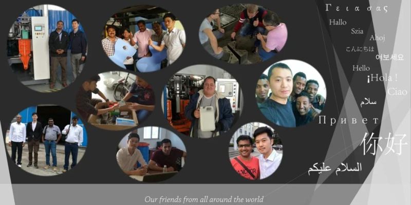 Hot Sales HDPE PP Pallet Accumulation Extrusion Blow Molding Machine