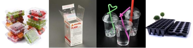 PET Sheet Cup Packing Making Extrusion Machine/Plastic Extruder Machine