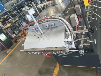 Plastic PE PP + CaCO3 Filler Masterbatch Compounding Extruder Pelletizing Line