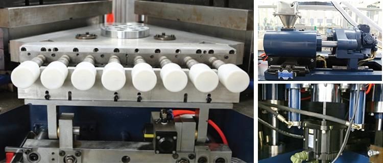 Automatic PE Plastic Injection Blow Mold Machine