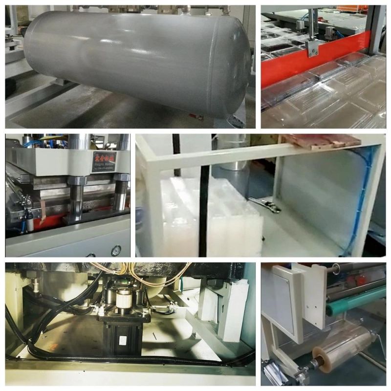 High Output Stable Performance Lunch Box Plastic Thermoforming Machine