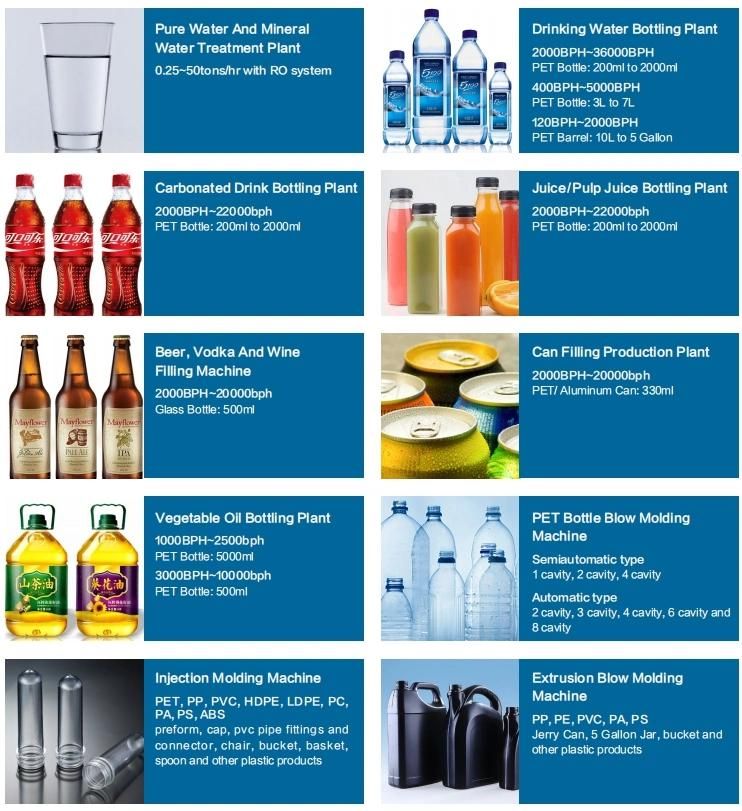 Semi Automatic 1600-2000bph 2 Cavity Plastic Pet Medical Pharmaceutical Bottle Making Machine