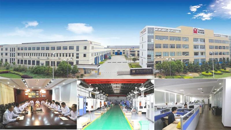 Tongda Hsll-30L Factory Price Plastic Extrusion Blow Molding Machine Suitable for Jerry Can
