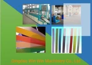 Deep Screw 100kg/H 120kw Pet Strap Production Line