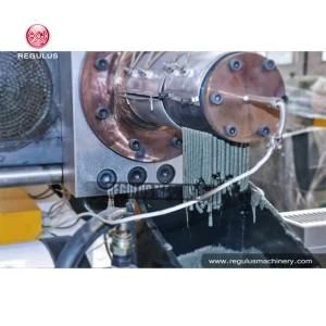 Plastic Recycling and Pelletizing Machine for PE PP Film