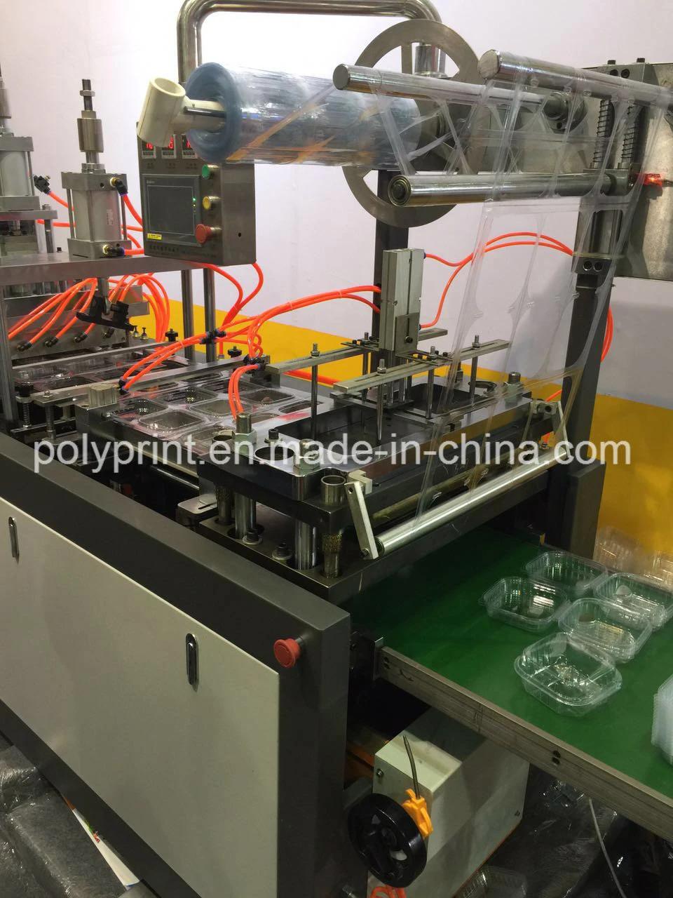 Plastic Lid Catering Tray Clamshell Box Making Machine