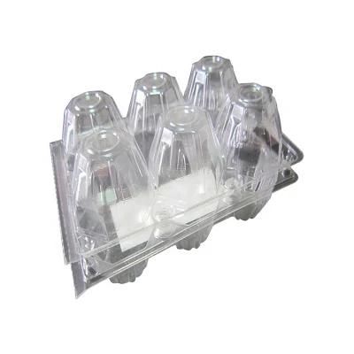 Fully Automatic PP BOPS PS PVC Thermoforming Plastic Egg Tray Making Machine