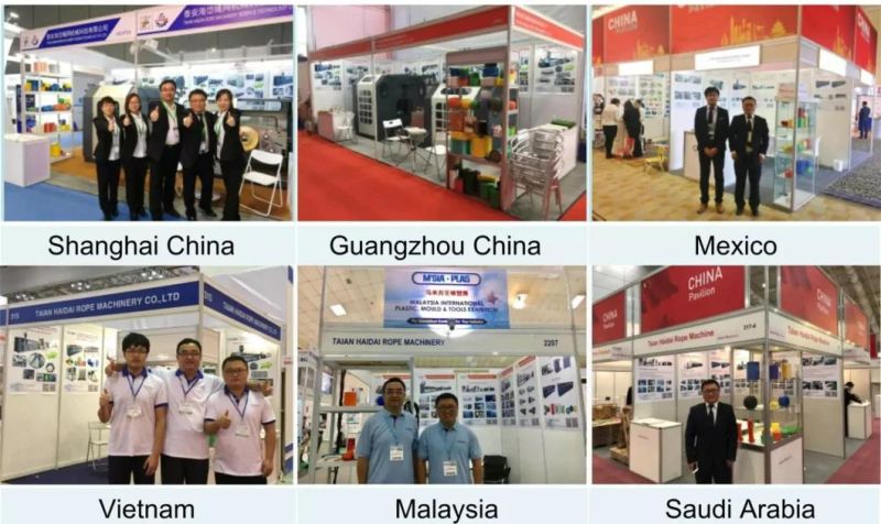 T-Die PP HDPE Raffia Blown Film Extruder Machine
