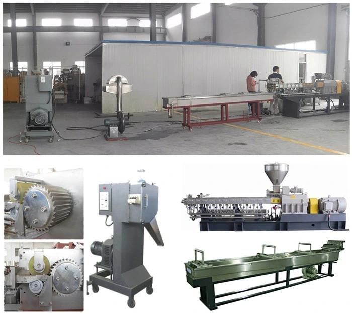 Factory Based PA66/PA6/PA Glass Fiber Reinforce Plastic Extruder Machine