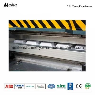 PS Thermocol Foam Food Box Plate Making Machine Egg Tray Production Line Mt75/90