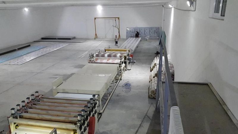 PC Hollow Sheet Extrusion Making Machine (Customized)