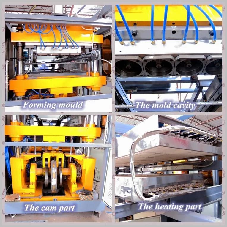 Automatic Plastic Cup Making Machine PP/Pet /HIPS/PLA Disposable Water Cup Thermoforming Machine