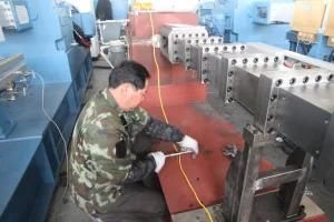 Tse-30 Machine Extruder in Plastic Twin Screw Extruder
