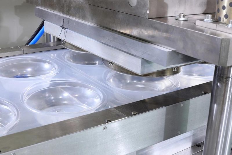 Automatic PP Plastic Clamshell Box Cup Lid Thermoforming Machine