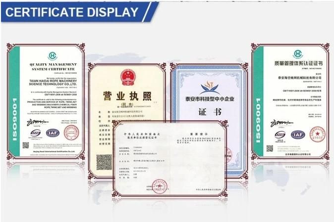 High Quality Raffia Film PP Polypropylene Baler Twine Making Machine