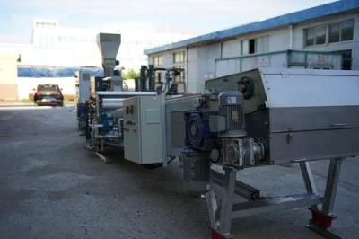 Newly Built Twin-Screw Extruder for Powder Coating