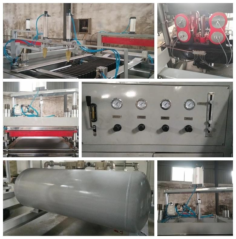 Panosonic PLC Controlled Automatic Plastic Thermoforming Machine for Food Tray