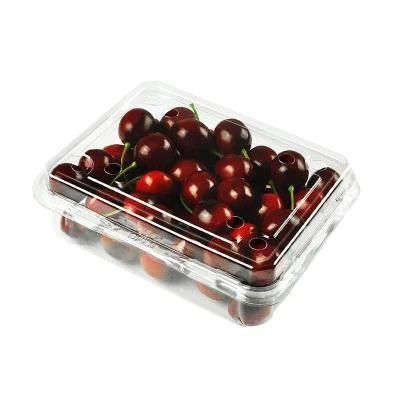 Plastic Food Storage Containers Four-Station Thermoforming Machine Plastic Box Making ...