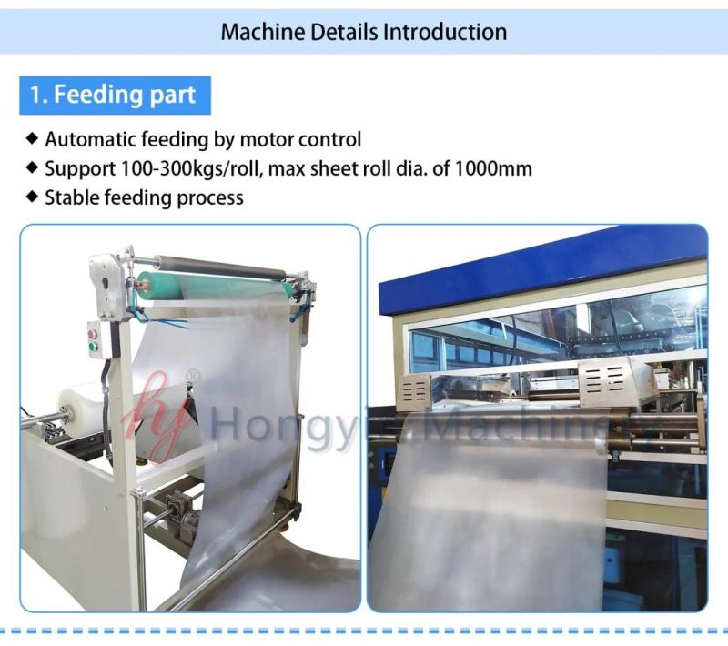 The Single Station Forming Machine Plastic Form/Cut/Stack Thermoformer Machinery