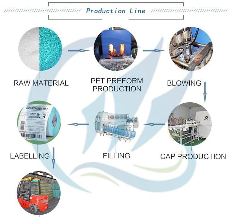 Low Cost Pet Preform 250 to Top 10 Electric Steel Precious High Speed Plastic Injection Moulding Machine