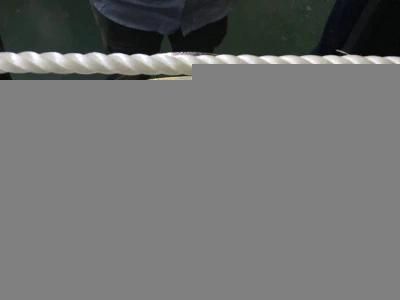 3 Strand Cotton Jute Hemp Pet Rope Machine Twisted PP Nylon Plastic Rope Making Machine