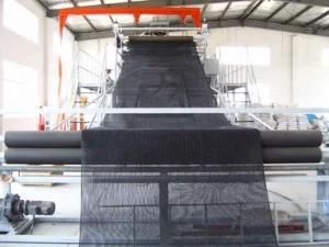 HDPE 3D Drainage Net Production Line (DSY-PSW)