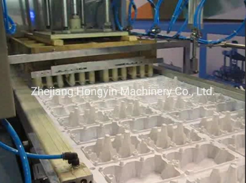Automatic Plastic Disposable Tray/Box/Food Package Container Blister Forming Machine Full Automatic Plastic Egg Tray/Lids/ Hinged Box Vacuum Forming Machine