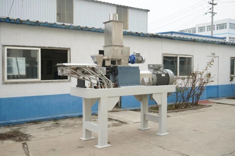 Twin Screw Extruder for Powder Coating Manufacturing
