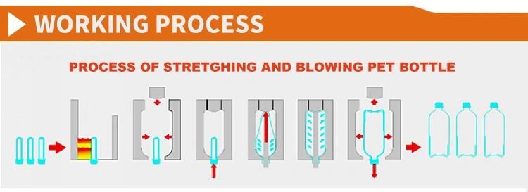 Q3000 Linear Bottle Blowing Machine Meet Needs of Continuous Production