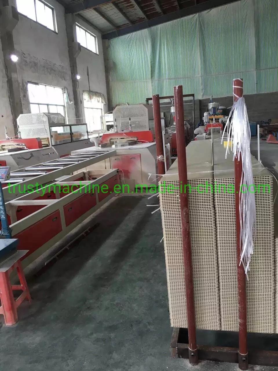 WPC Wall Panel Extrusion Production Line