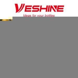 Plastic Bottle Blow Moulding Machinery