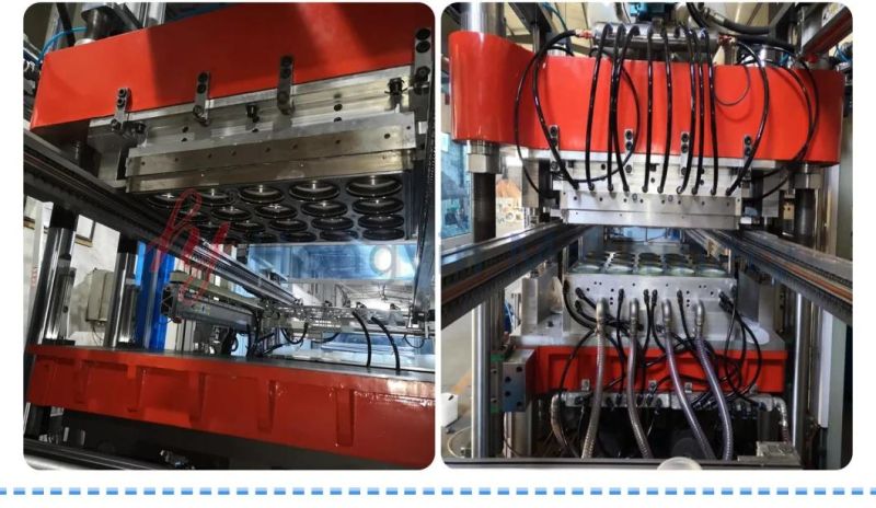 The Single Station Forming Machine Plastic Form/Cut/Stack Thermoformer Machinery