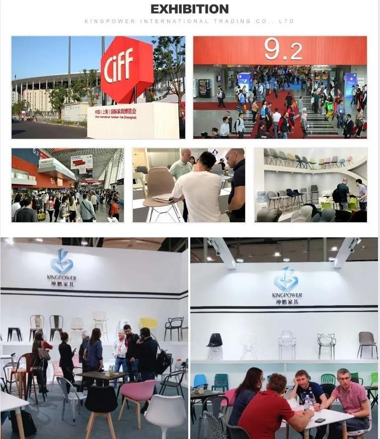 Wholesale Artist Customized Color Horn Dining Plastic Outdoor Chair