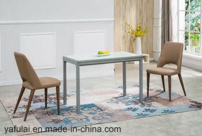 Home Furniture Square Glass Metal Dining Table