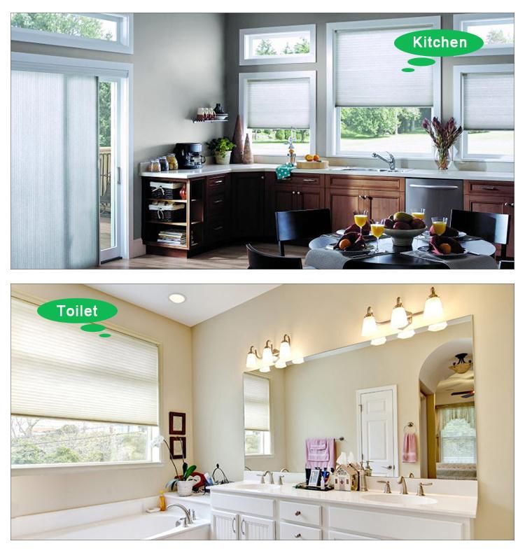 Day and Light Cordless Top Down Bottom up Plisse Automatic Honeycomb Cellular Blind for Windows Skylights