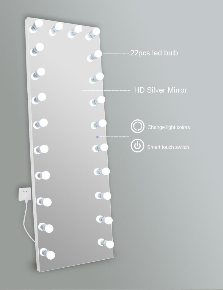 Full Length Dressing Mirror with Light