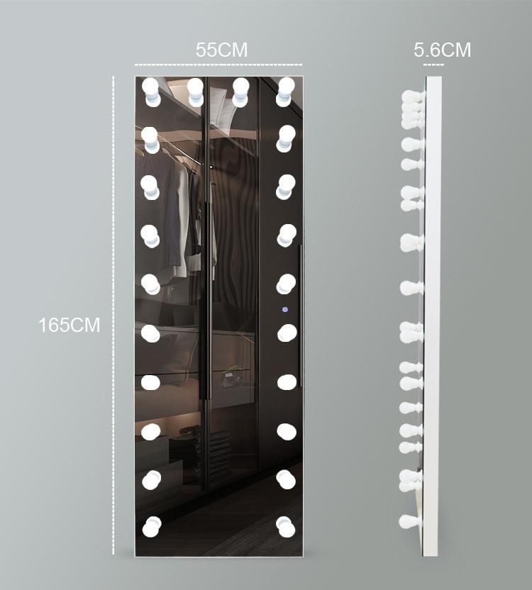 Full Length Dressing Mirror with Light