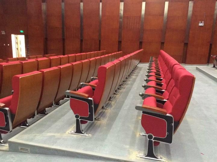 Lecture Theater Audience Media Room Office Classroom Church Auditorium Theater Seating