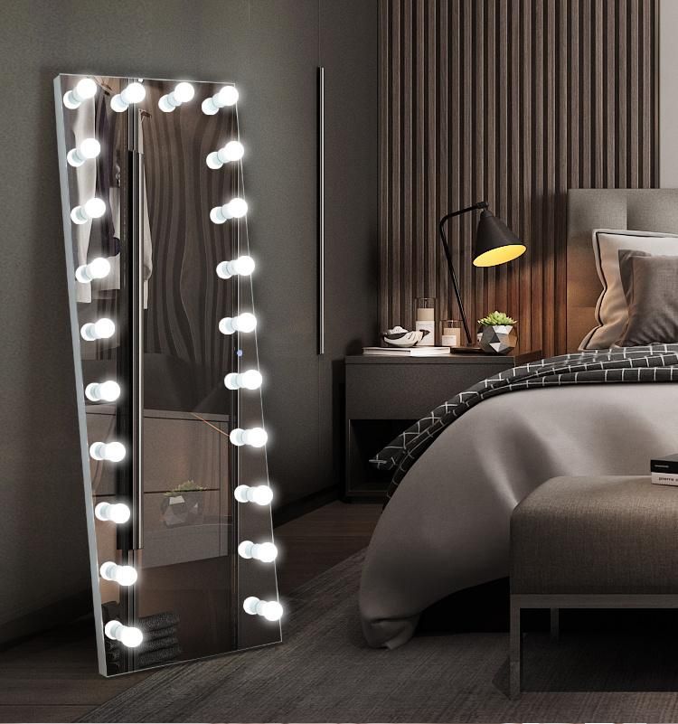 Full Length Dressing Mirror with Light