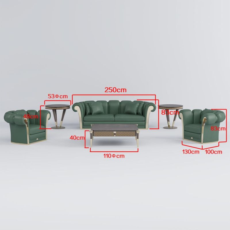 Metal Decor Tufted Geniue Leather Sofa Stylish Modern Living Room Couch with Tea Table