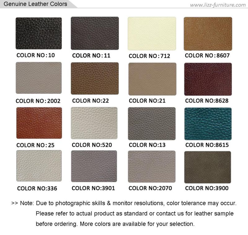 New Arrival Modern Classical Match Color Living Room Lounge High a Genuine Leather Sofa