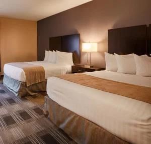Fashion Popular Design Hotel Furniture for Best Western